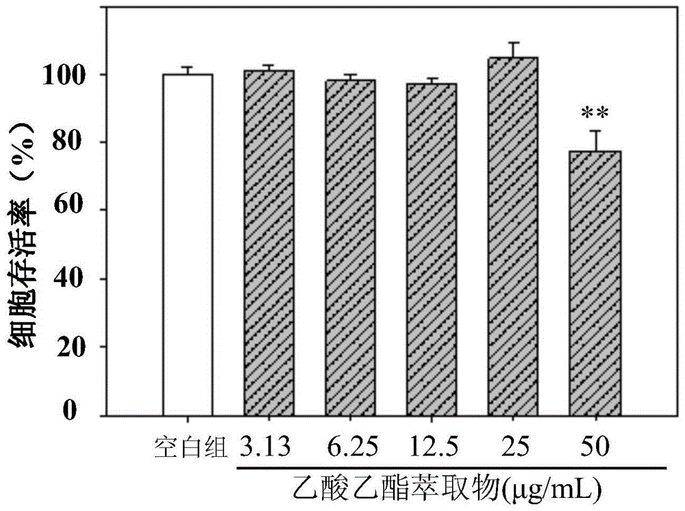 Preparation method and application of effective components of Euonymus microphylla