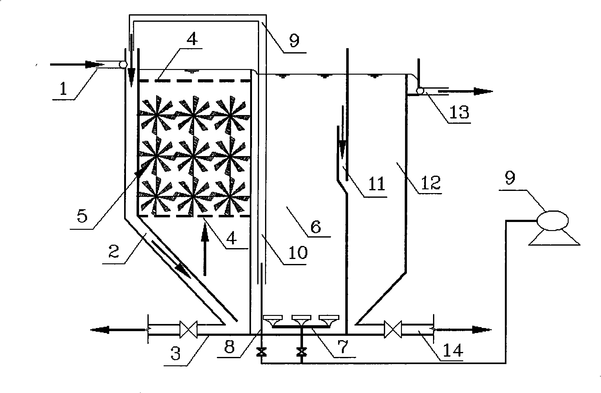 Lichenism system and short-term contact oxidation comprehensive processing sewerage method