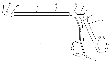 Frontal sinus opening punch forceps