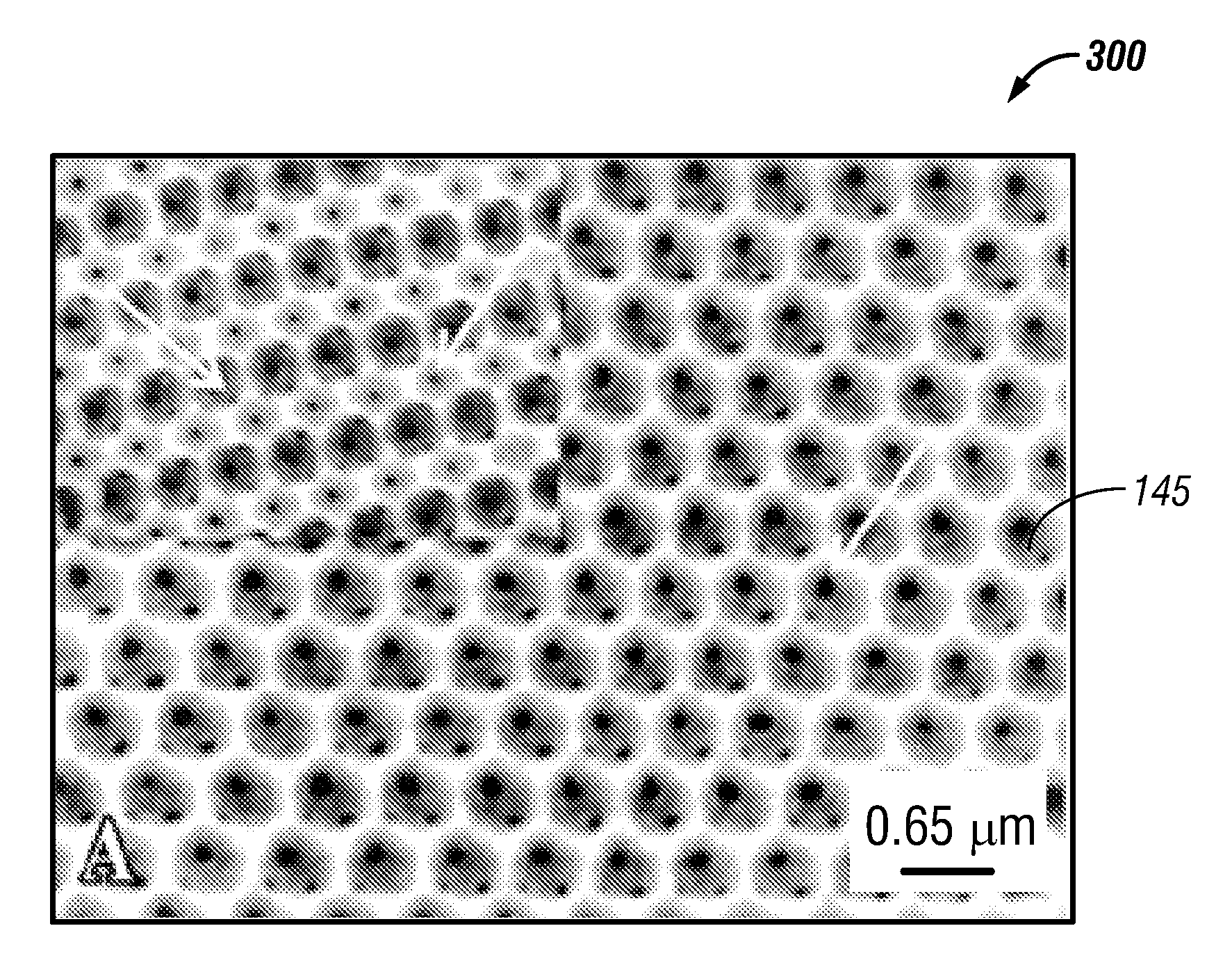 Three-dimensionally ordered macroporous sensor apparatus and method