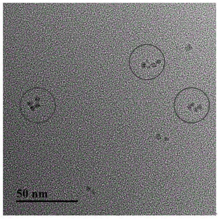 A kind of preparation method of three-dimensional chiral silver nanomaterial