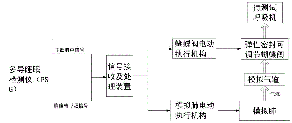 A human respiratory simulation system