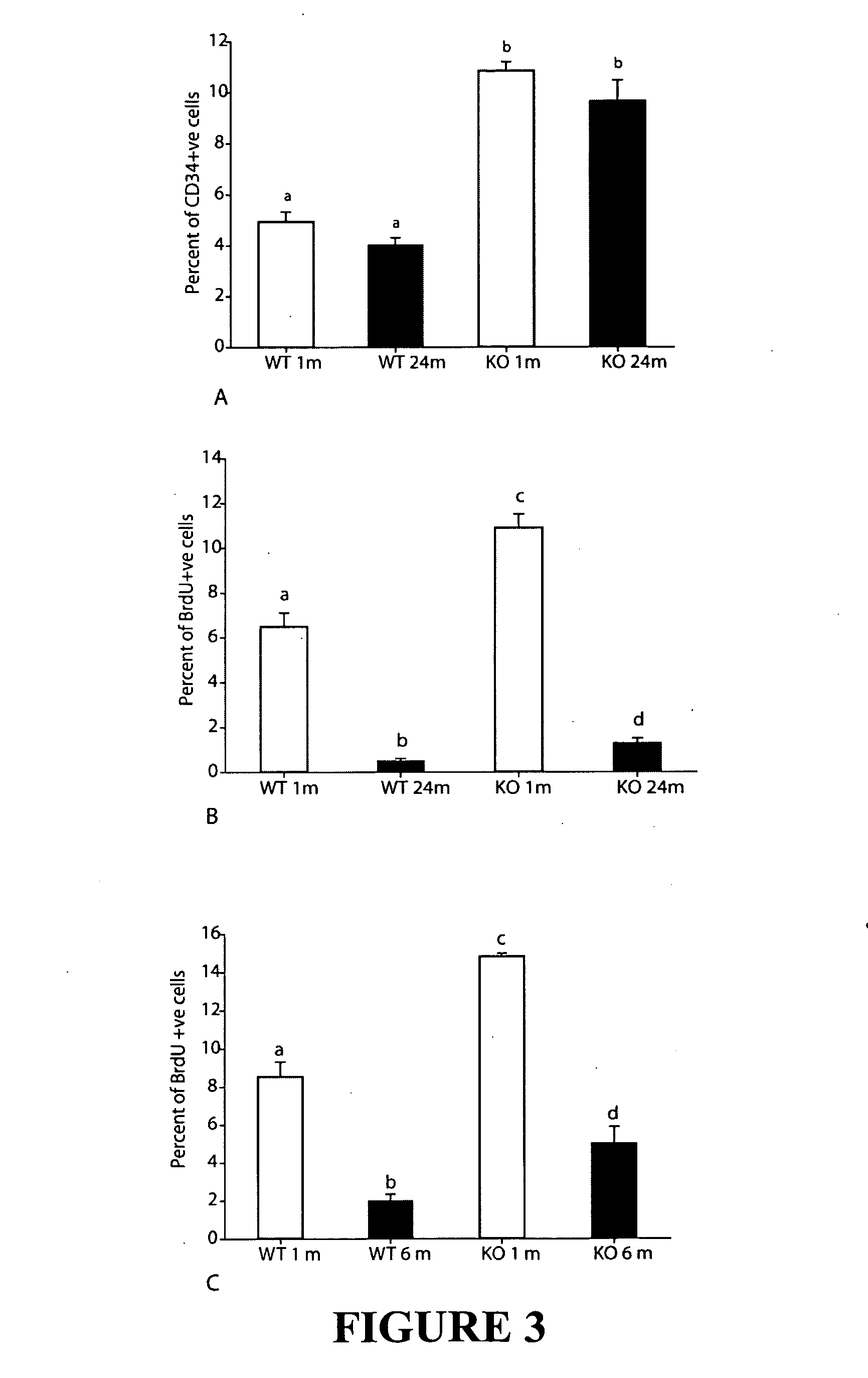 Muscle regeneration compositions and uses therefor