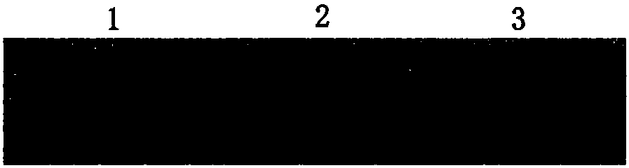 Phospholamban gene anti-sense RNA recombinant AAV vector, virus, construction method and application