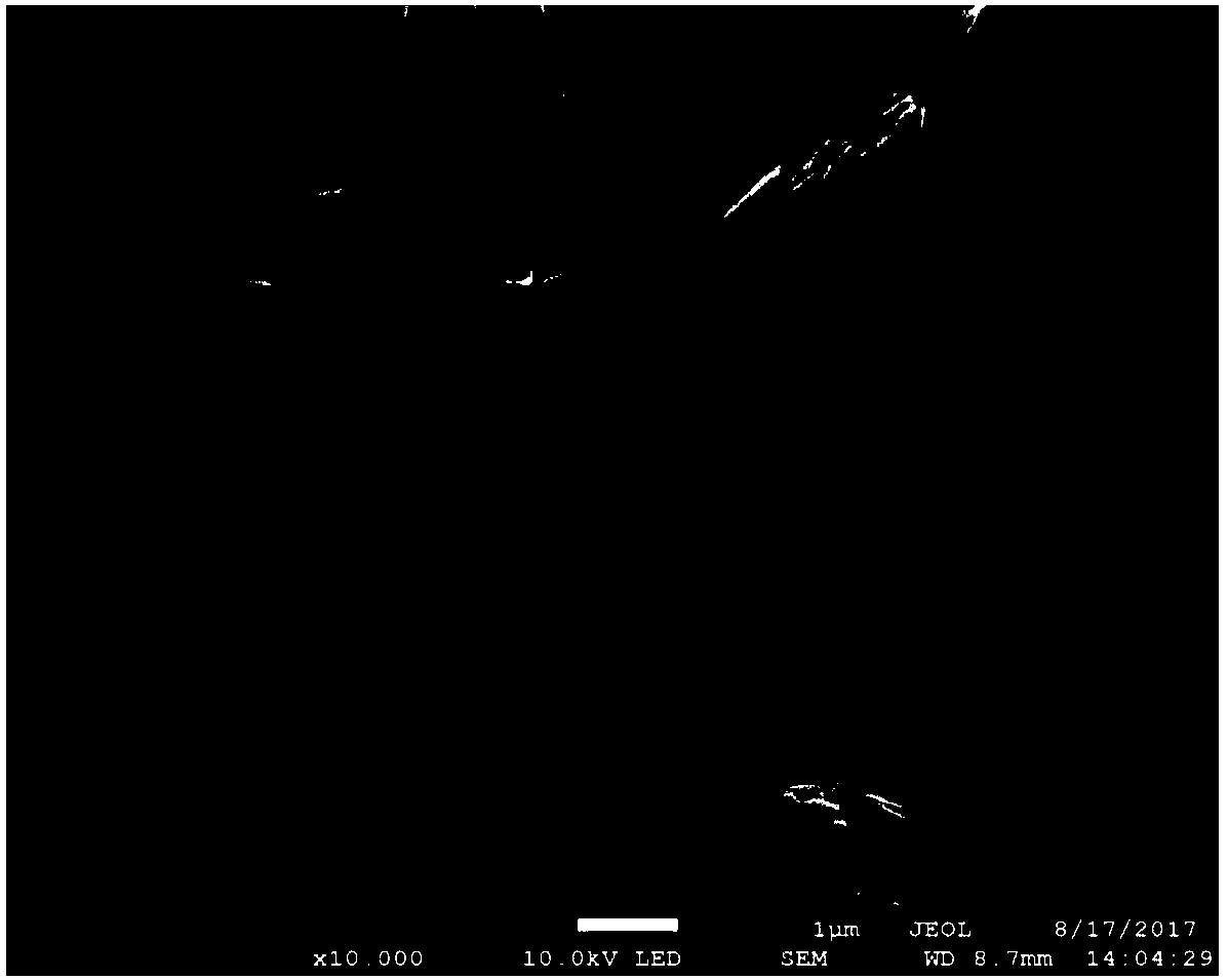 Lithium-sulfur battery anode material and application thereof