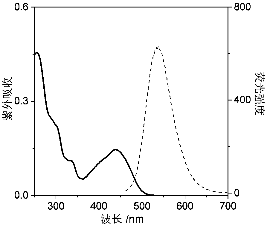 Nucleic acid fluorescence probe for nuclear staining and preparation method of nucleic acid fluorescence probe