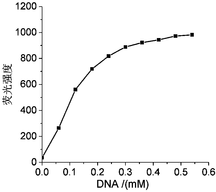 Nucleic acid fluorescence probe for nuclear staining and preparation method of nucleic acid fluorescence probe