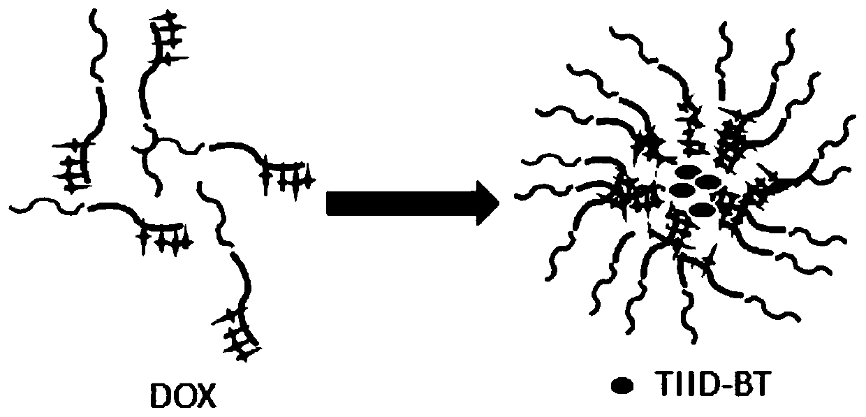 Photo-thermal chemotherapy and treatment combined microenvironment responsive drug-loading nano micelle preparation method and application