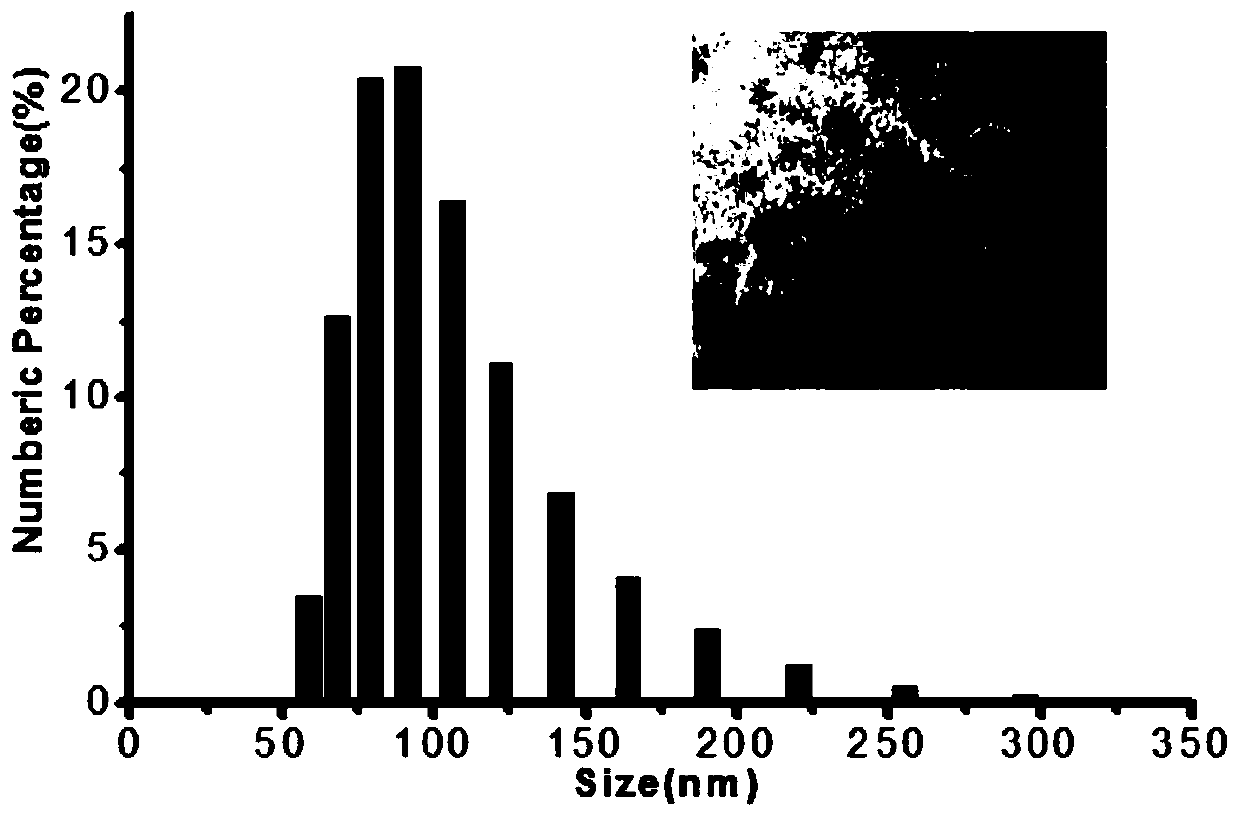 Photo-thermal chemotherapy and treatment combined microenvironment responsive drug-loading nano micelle preparation method and application