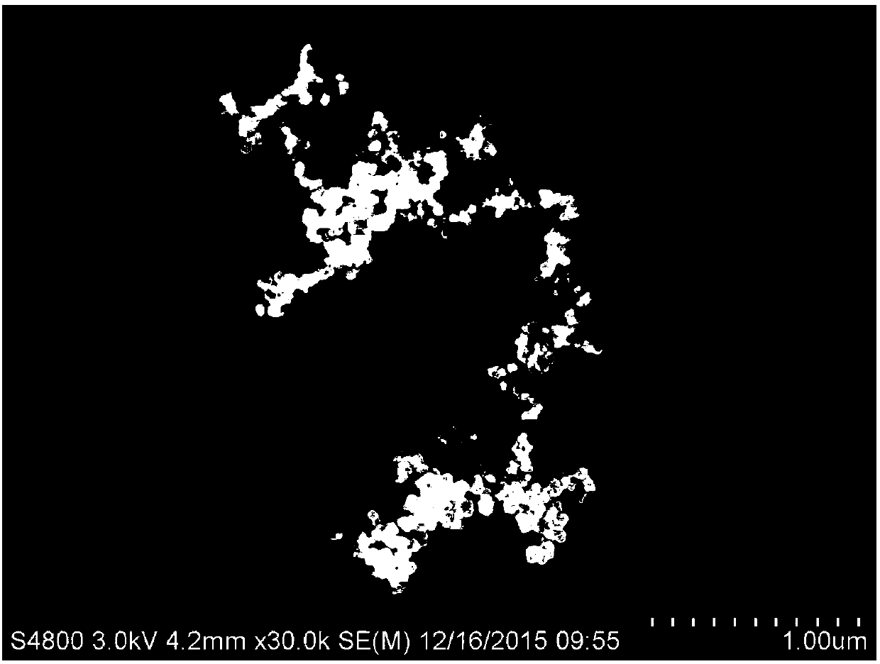 Preparation method of pure indissolvable drug nanoparticles (crystals) and application thereof