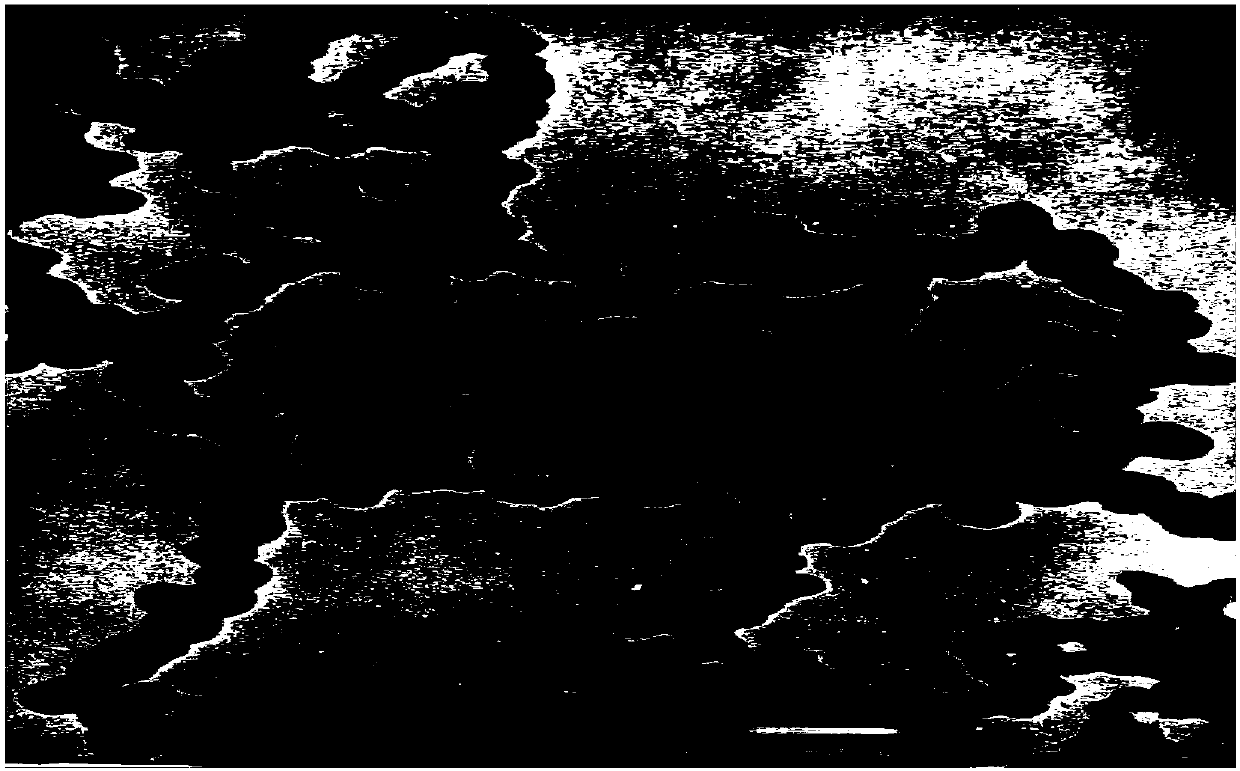 Preparation method of pure indissolvable drug nanoparticles (crystals) and application thereof