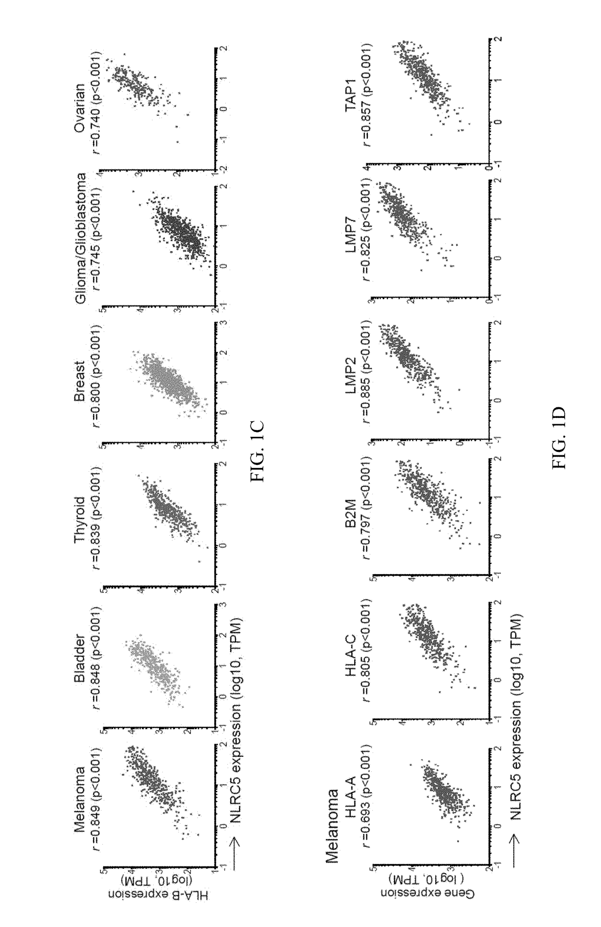 Nlrc5 as a biomarker for cancer patients and a target for cancer therapy