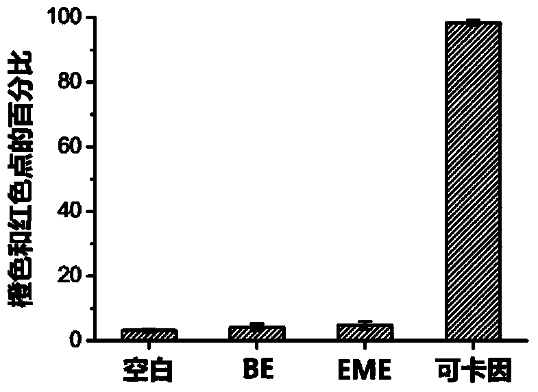 Method for conducting fingerprint identification and analyzed object detection simultaneously through dark-field microscope