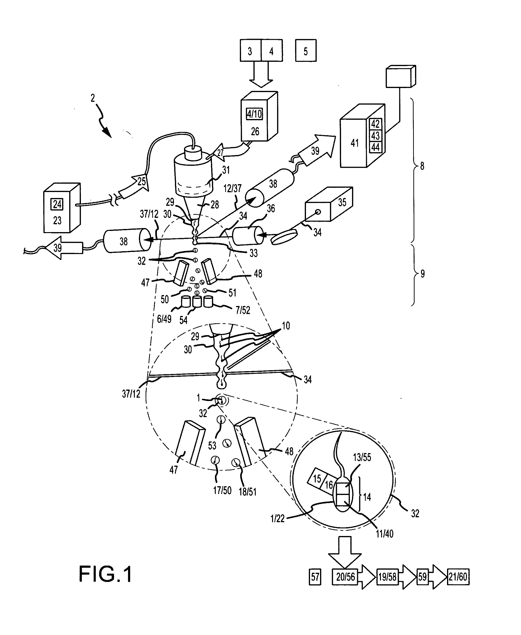 Sex Selected Equine Intracytoplasmic Sperm Injection Embryo Production System