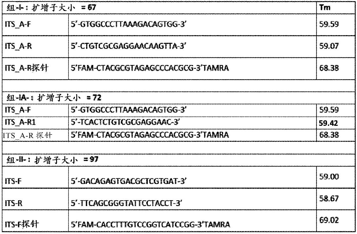 Methods and kits for the detection of powdery mildew