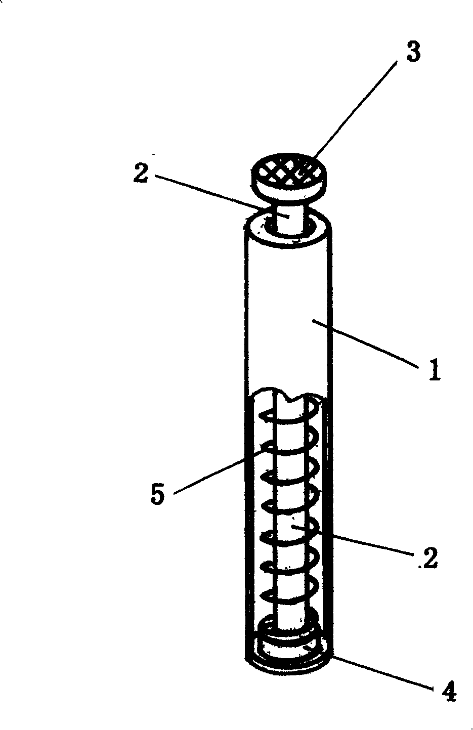 Nailing device