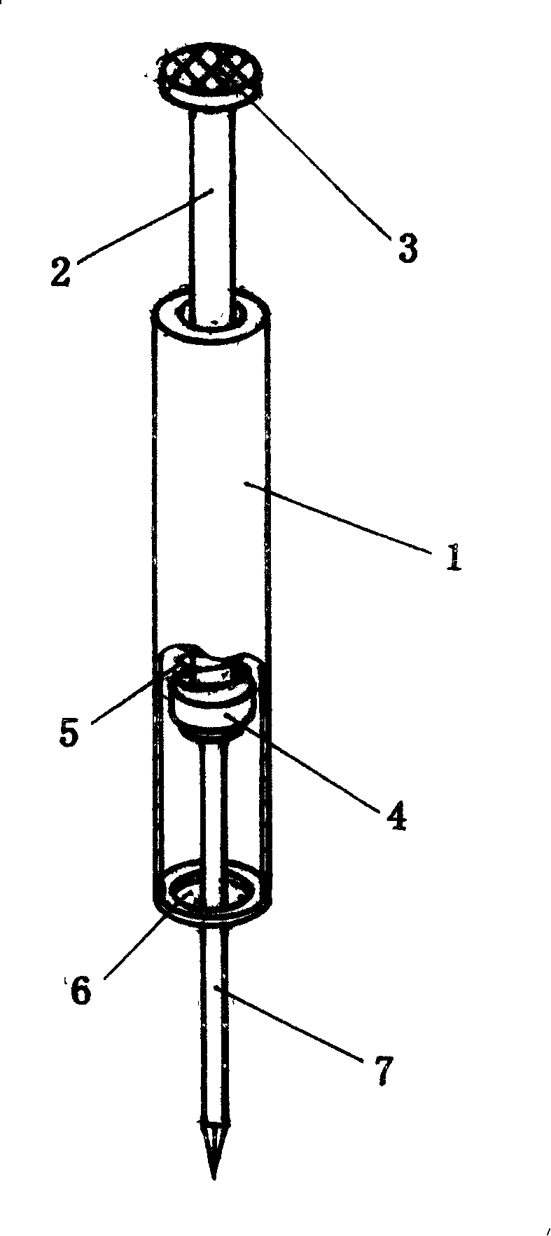 Nailing device