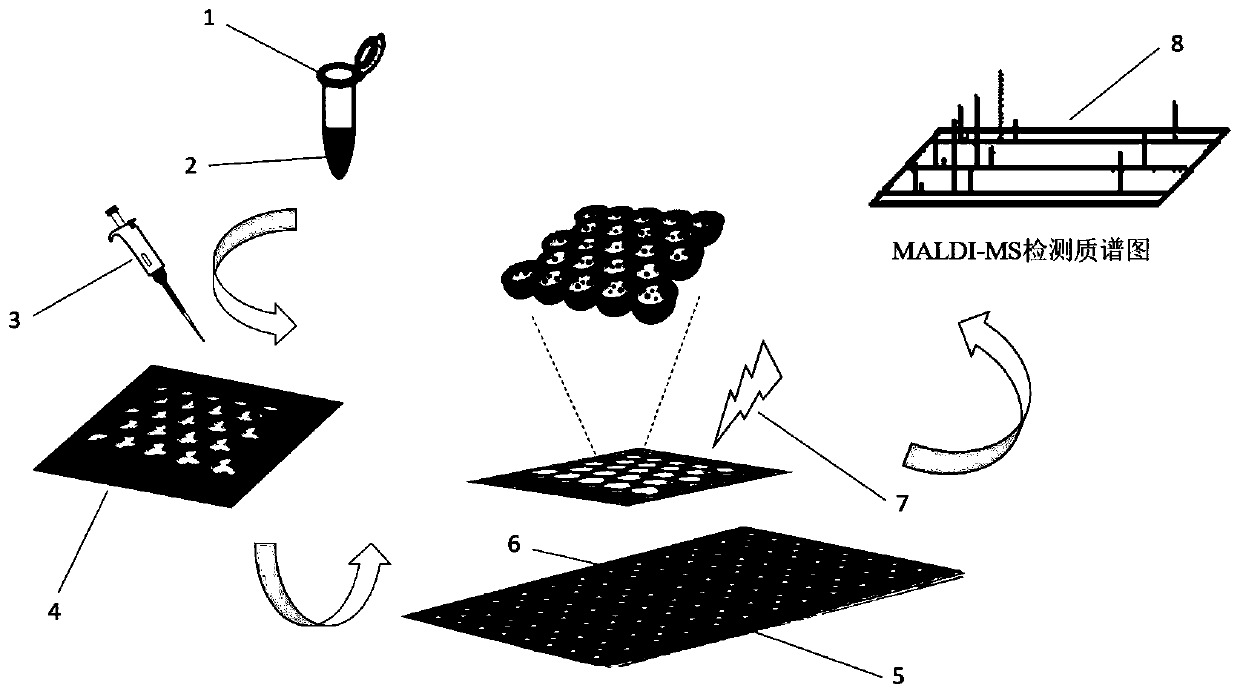 A silicon-based nanobowl array chip and its preparation method and application