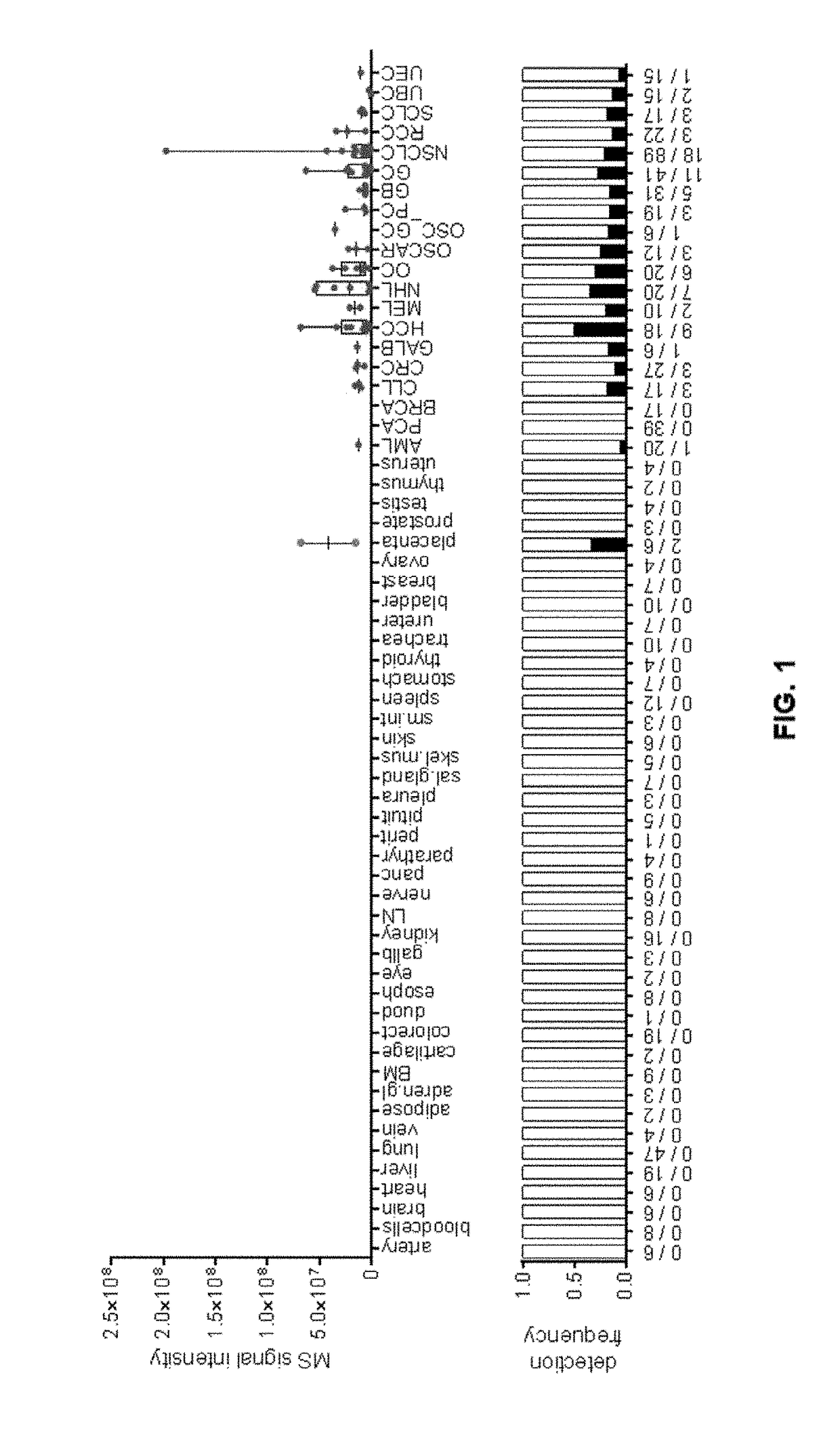 Peptides and combination of peptides for use in immunotherapy against cancers