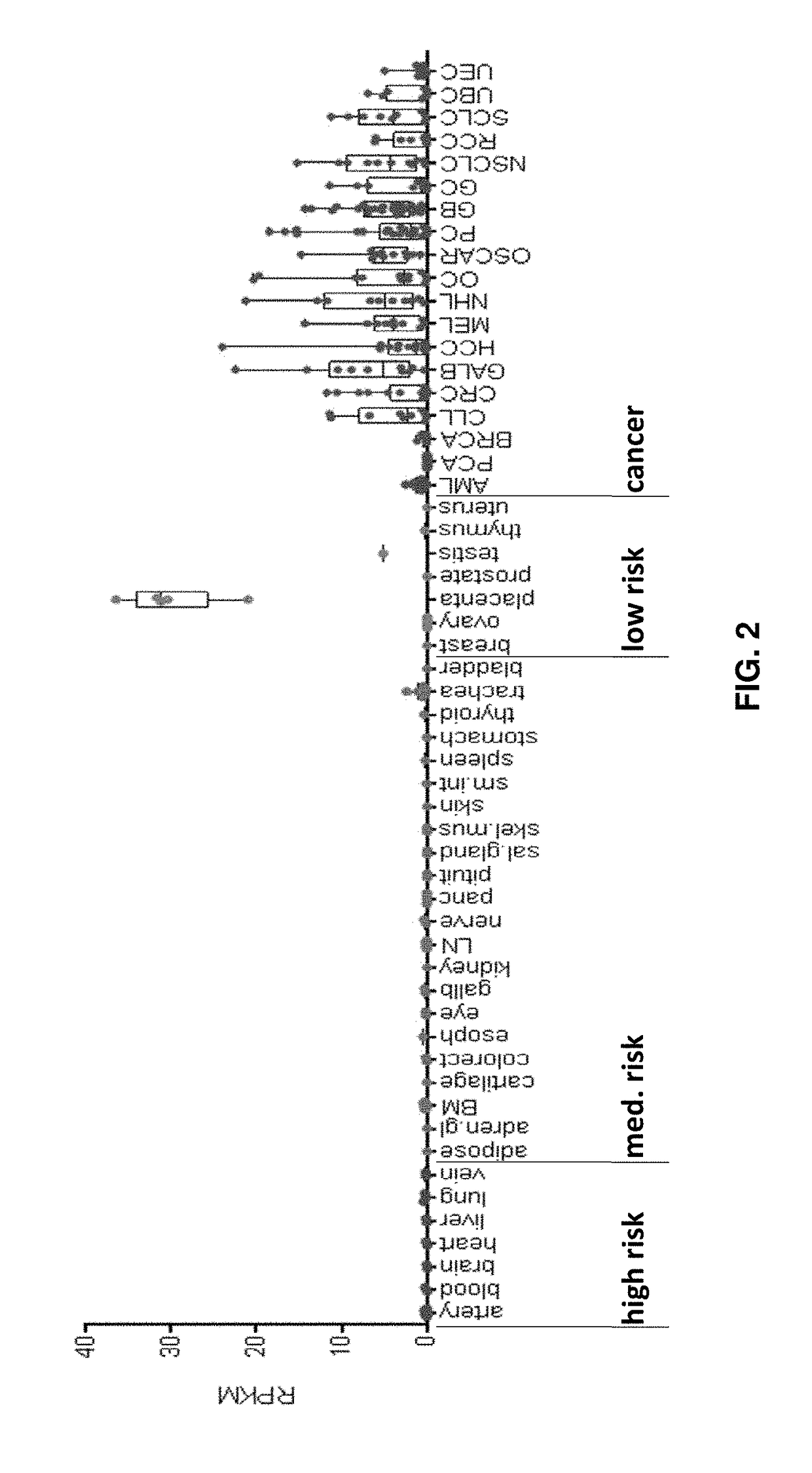 Peptides and combination of peptides for use in immunotherapy against cancers