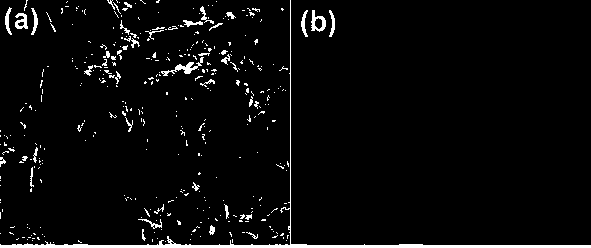 Preparation method of nickel molybdate/carbon electrode material and prepared supercapacitor