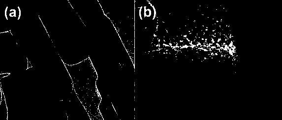 Preparation method of nickel molybdate/carbon electrode material and prepared supercapacitor