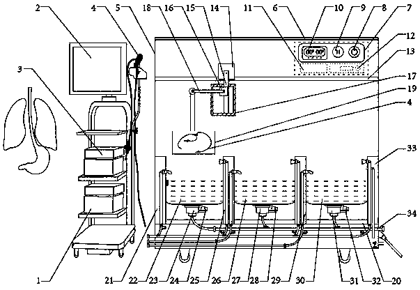 Digestive system detection and cleaning equipment