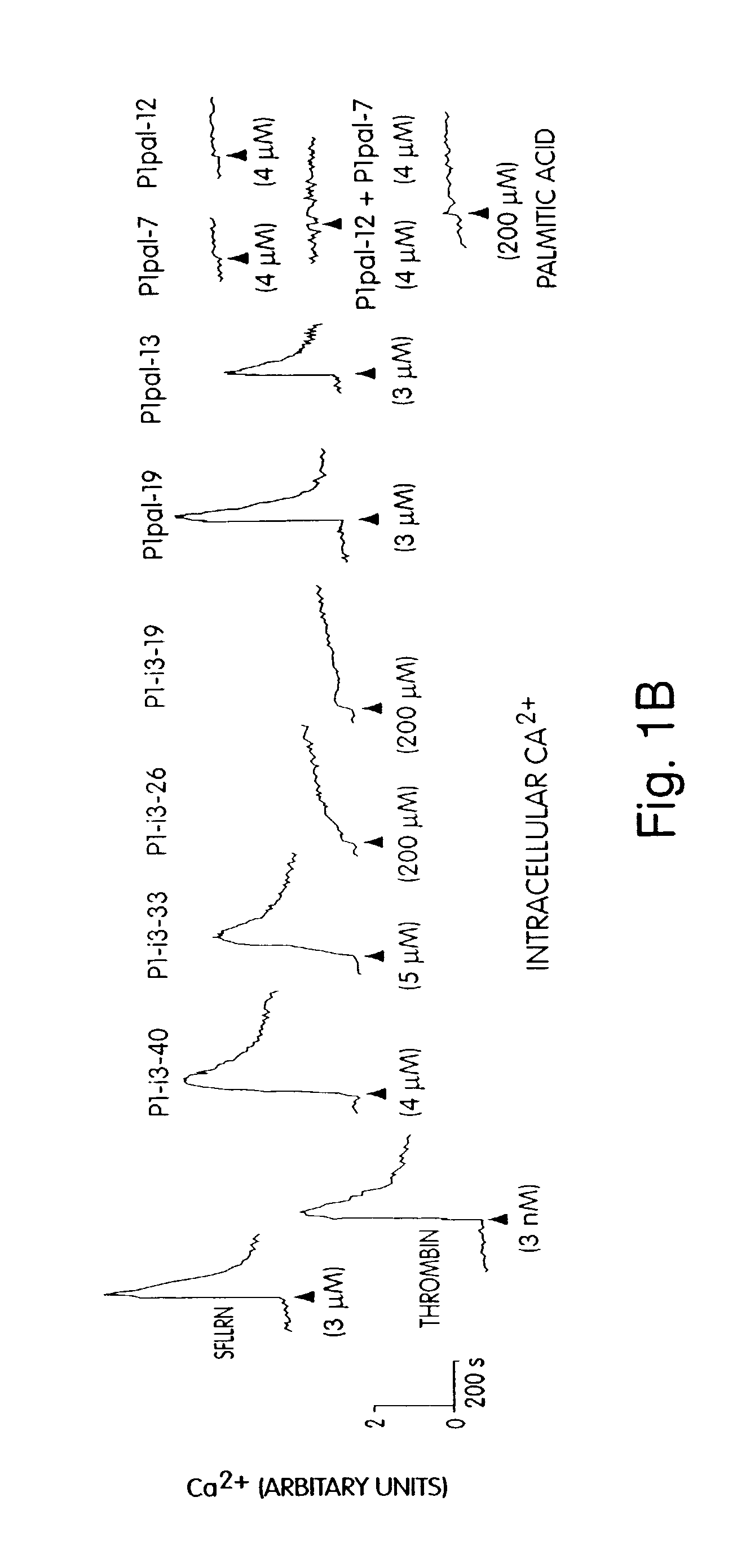 G protein coupled receptor agonists and antagonists and methods of activating and inhibiting G protein coupled receptors using the same