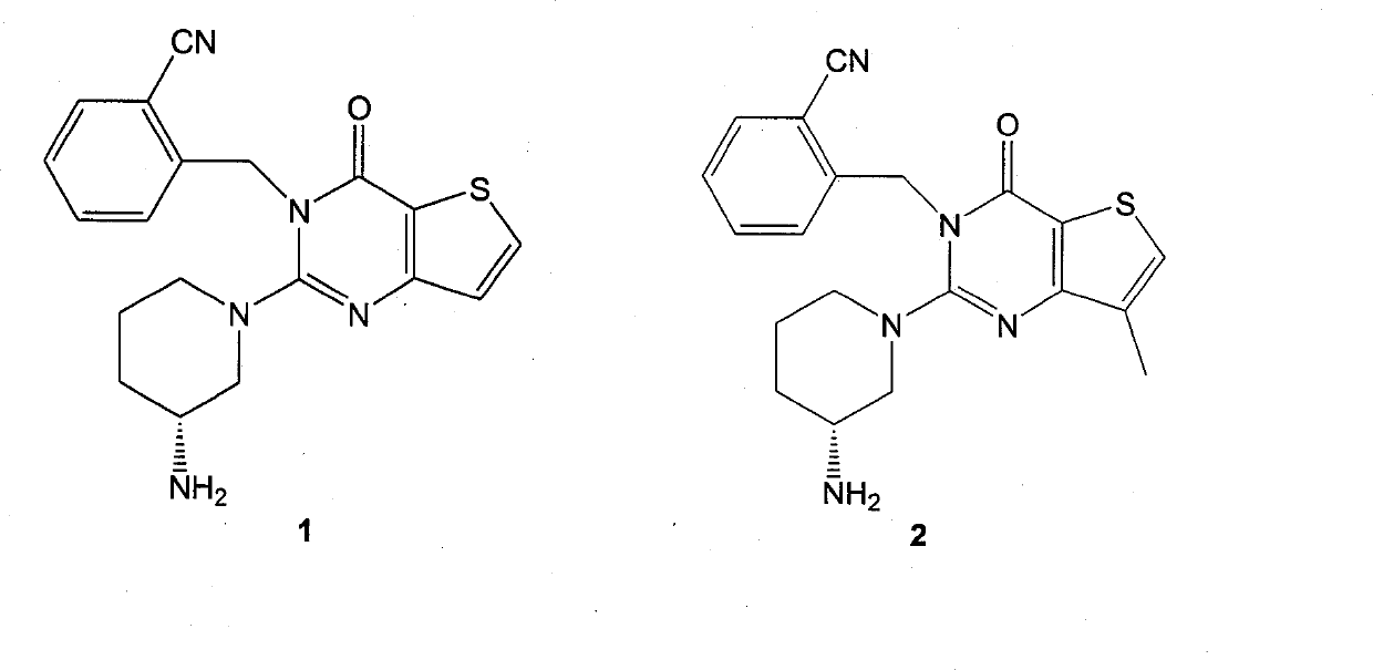 DPP-IV inhibitor