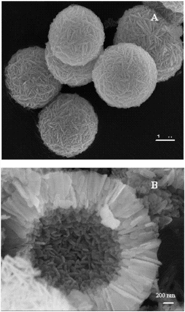 NiO hollow sphere catalyst for catalyzing N2O to directly decompose as well as preparation method and application of NiO hollow sphere catalyst