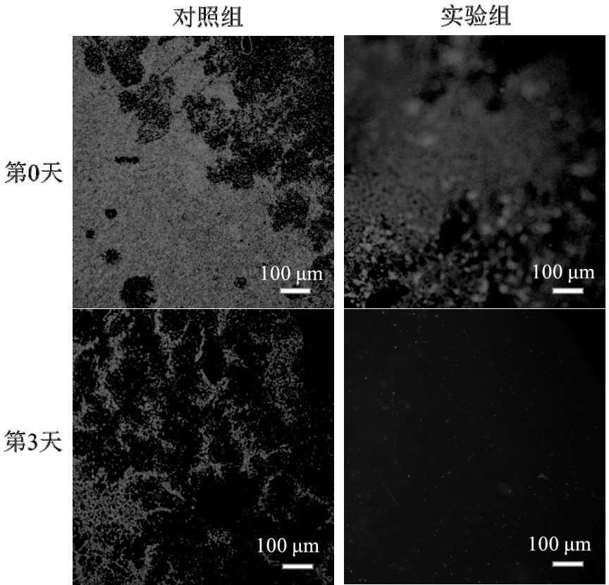 Algae-inhibiting material and its application in agricultural greenhouse film