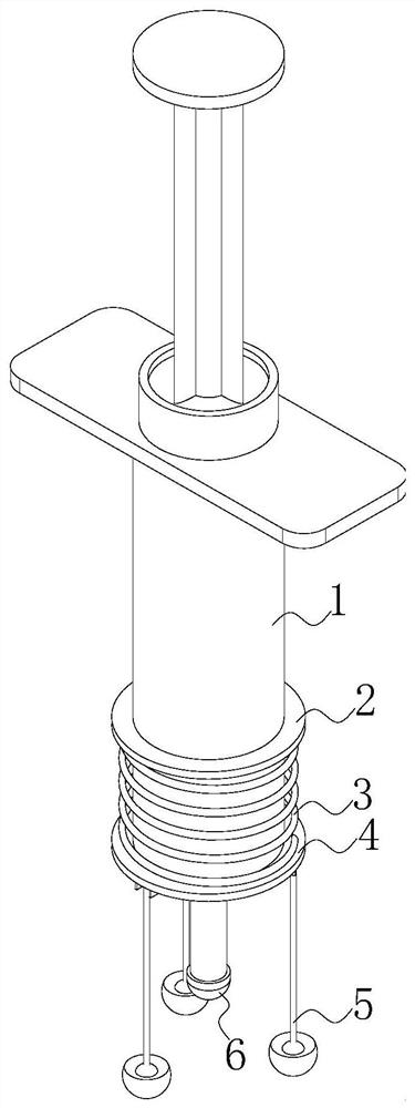 Cat tinea treatment applicator for pet cats