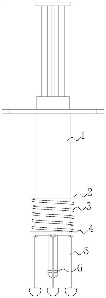 Cat tinea treatment applicator for pet cats