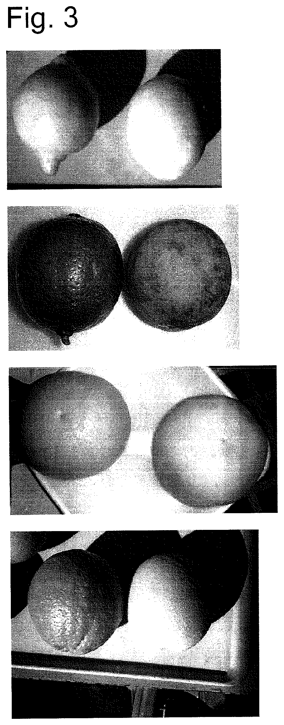 Processed citrus fruit item having reduced bitterness