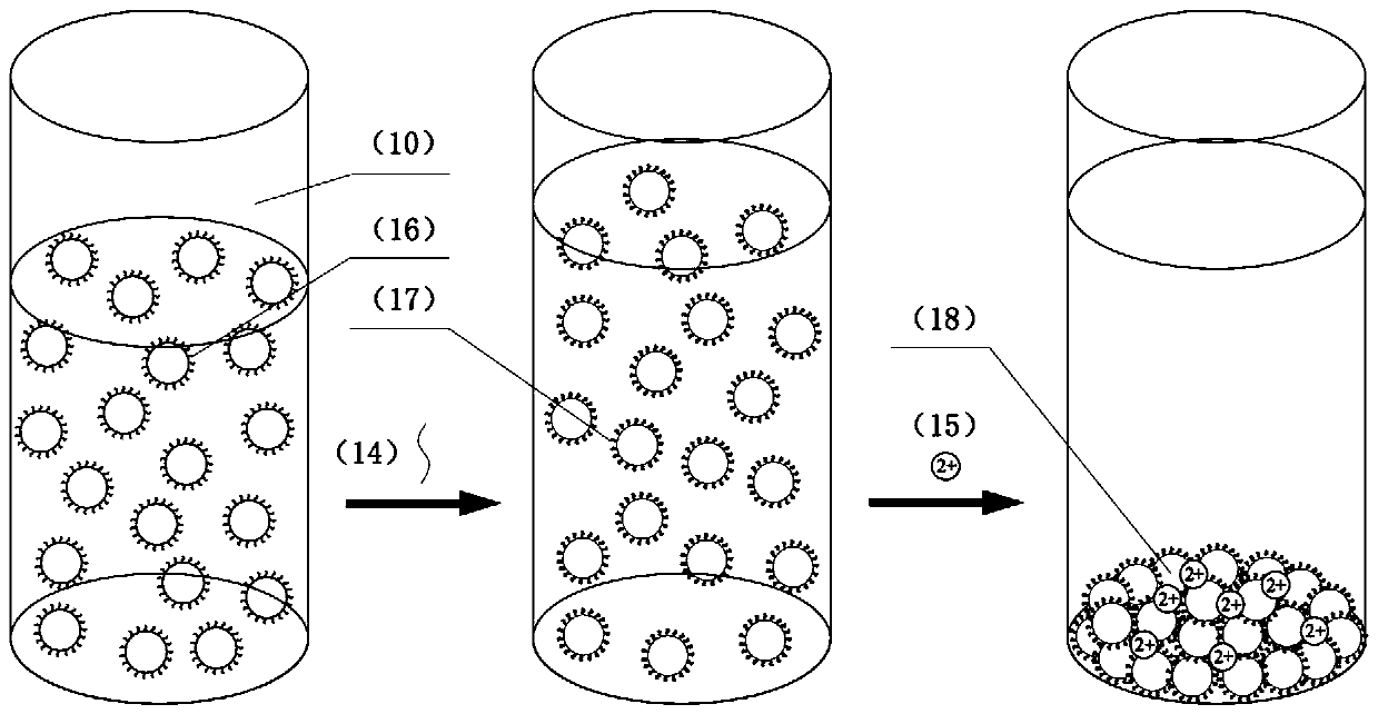 DNA hybridization detection method based on surface enhanced Raman scattering spectrum technology