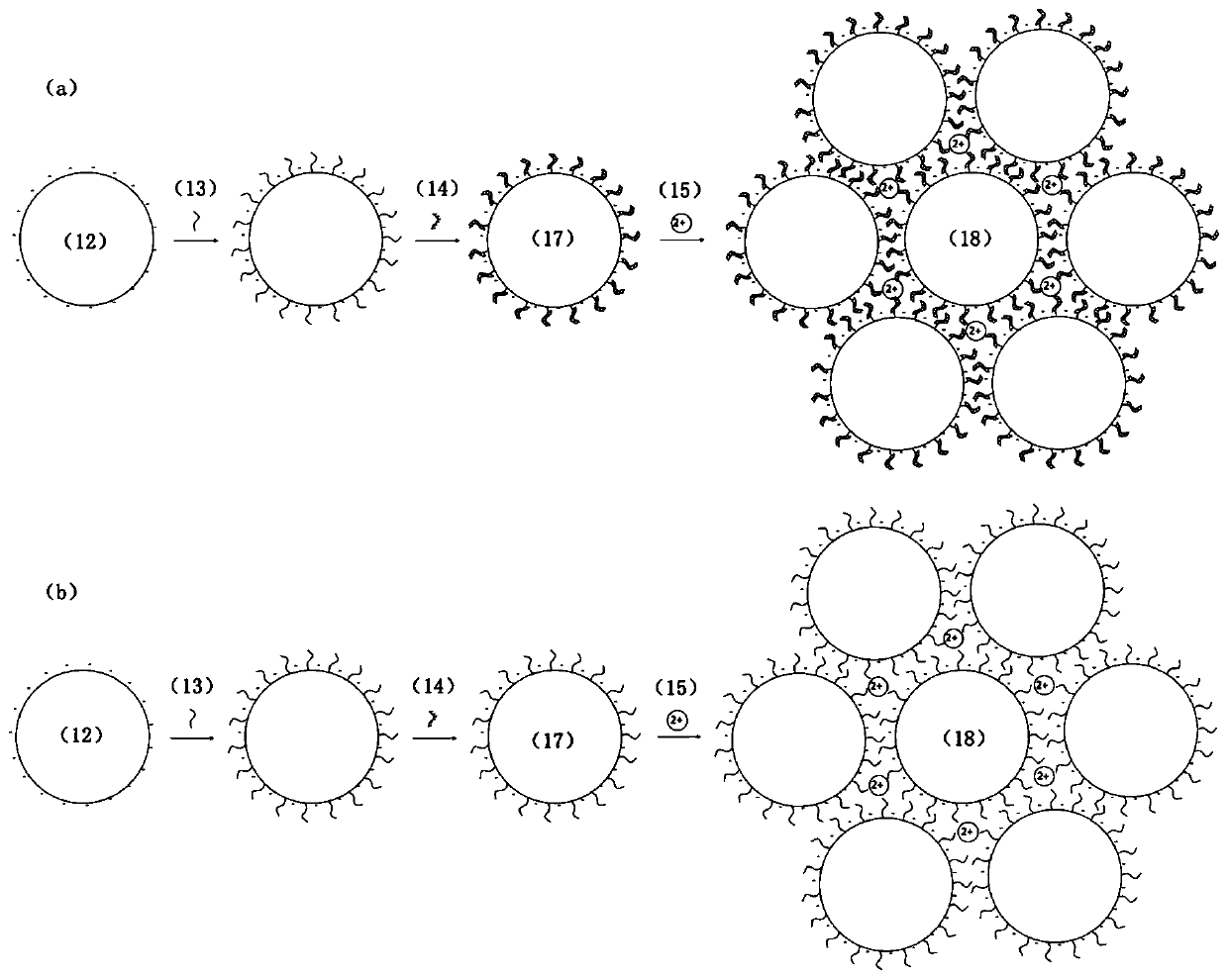 DNA hybridization detection method based on surface enhanced Raman scattering spectrum technology