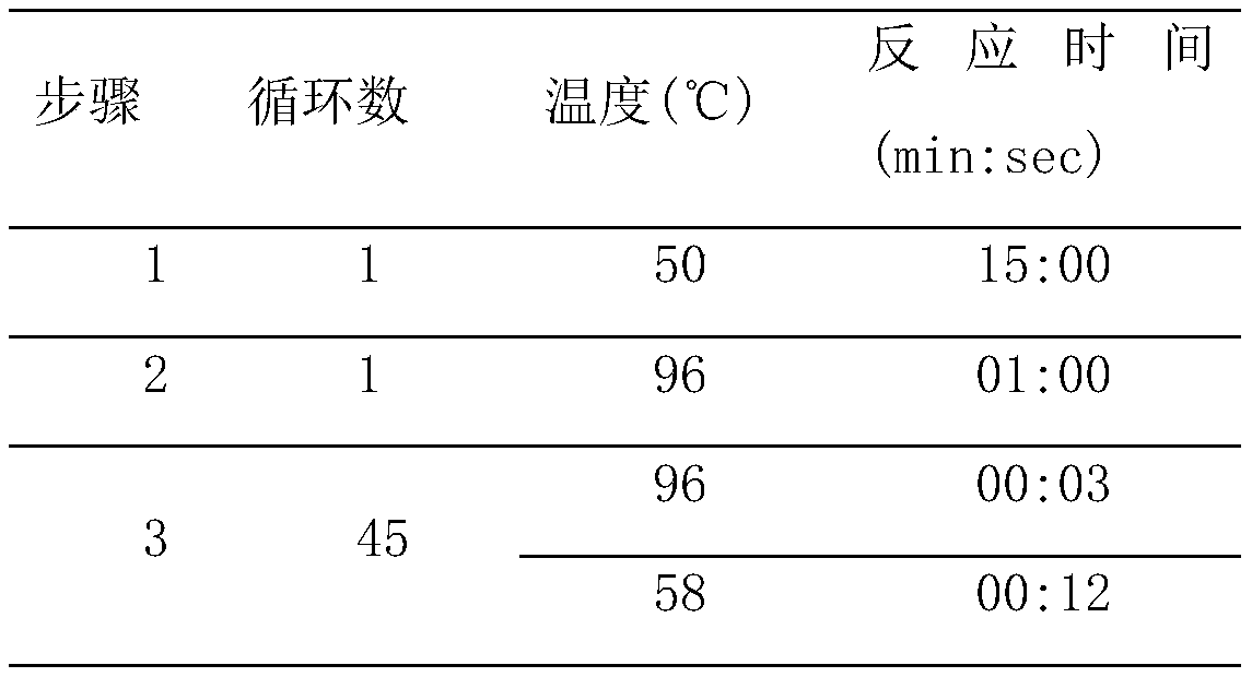 Extraction-free SARS-CoV-2 nucleic acid detection method and kit