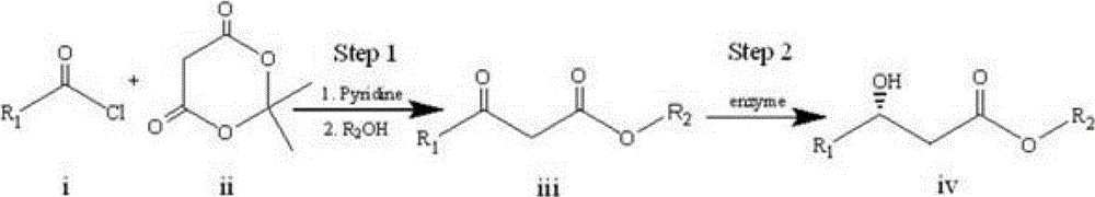 Enzymatic synthesis method of chiral beta-hydroxyl ester compound