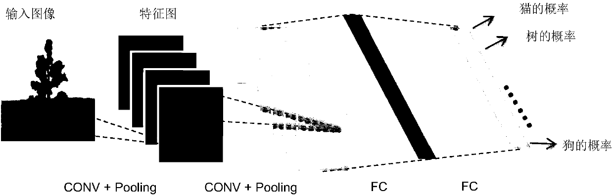 Layering quantization method and device for complex neural network