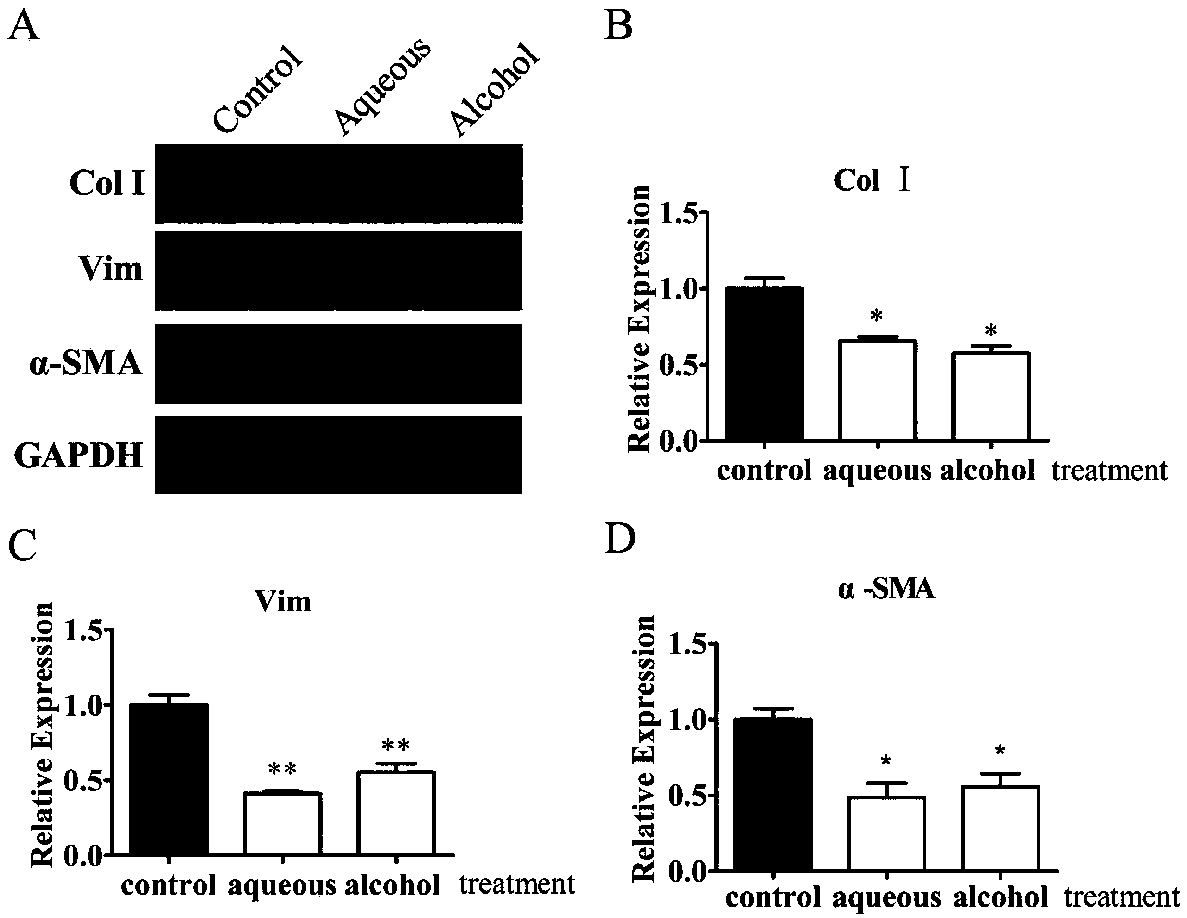 Application of geniposide in alleviating skeletal muscle fibrosis