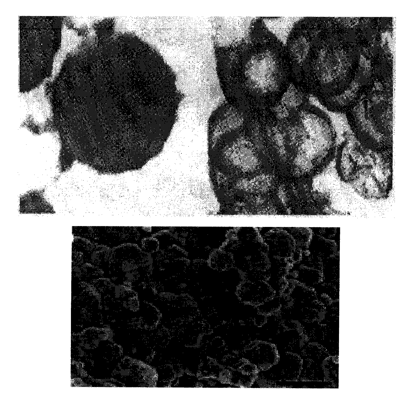 Nano-material composite visible light catalyst and preparation method thereof