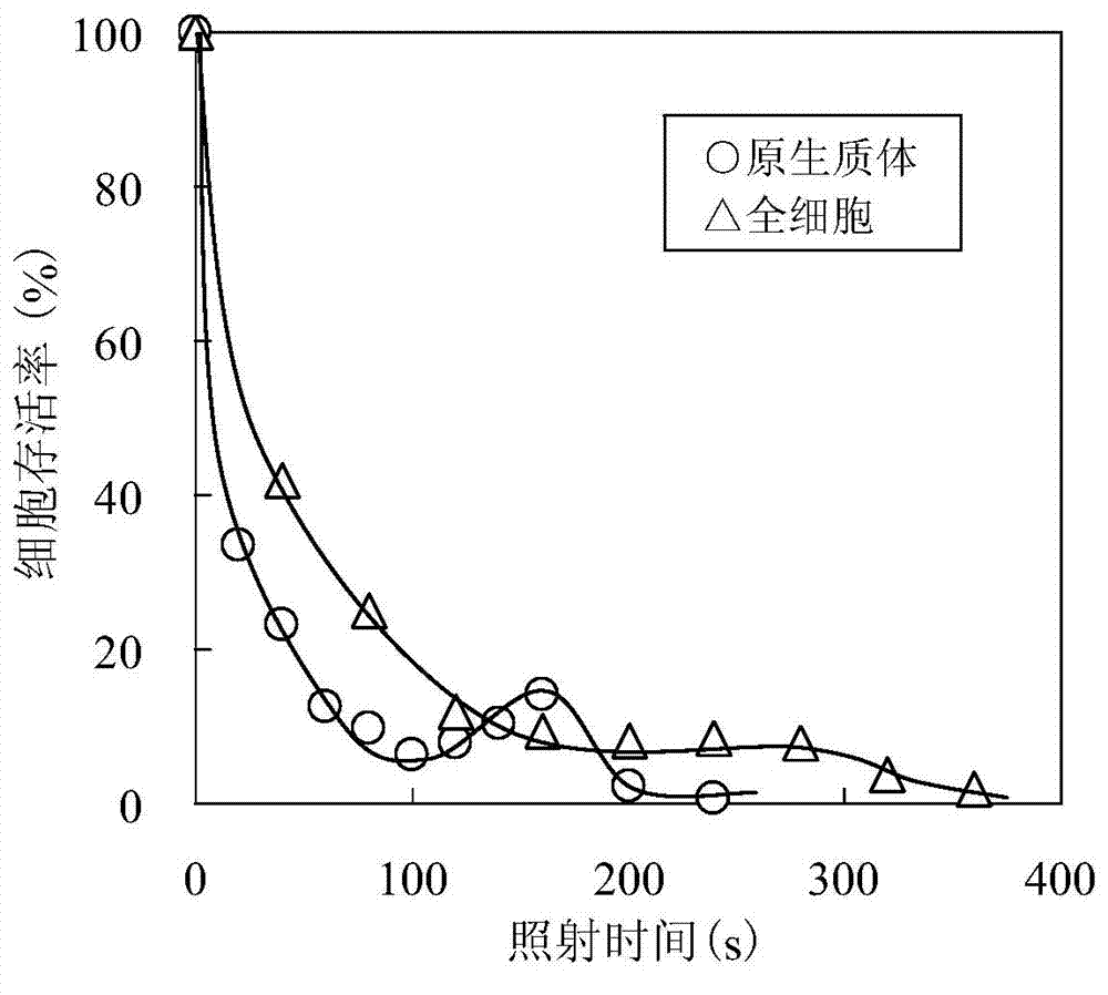 Lignin-tolerant saccharomyces cerevisiae and application of lignin-tolerant saccharomyces cerevisiae in production of bioethanol