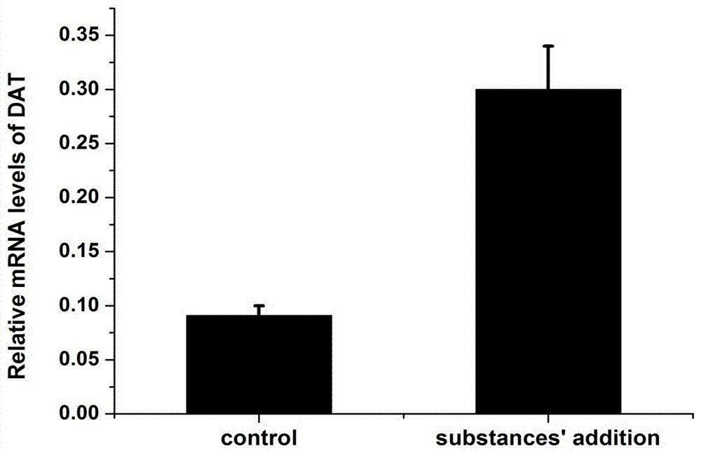 The new function of the active ingredients of Dictatoria radiata in promoting the incremental expression of dopamine transporter