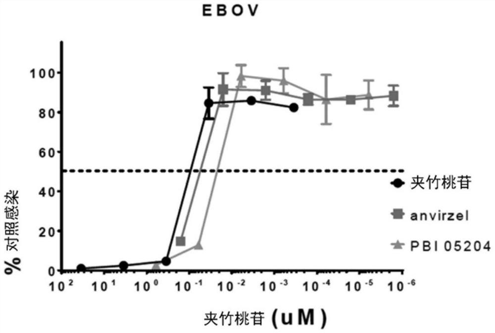 Methods and compositions for treating coronavirus infection