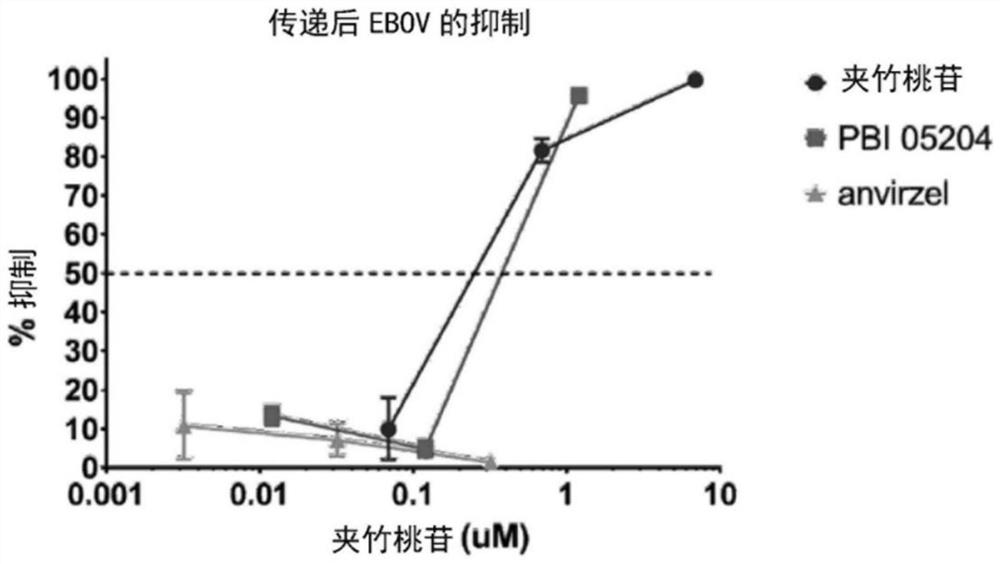 Methods and compositions for treating coronavirus infection