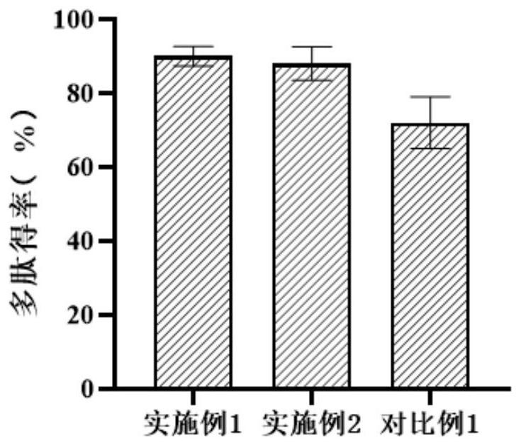 Segmented enzymolysis process of plukenetia volubilis linneo, and plukenetia volubilis linneo peptide prepared by same