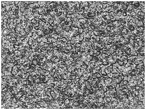 Wax-containing 3D printing light-cured cast resin and preparation method thereof