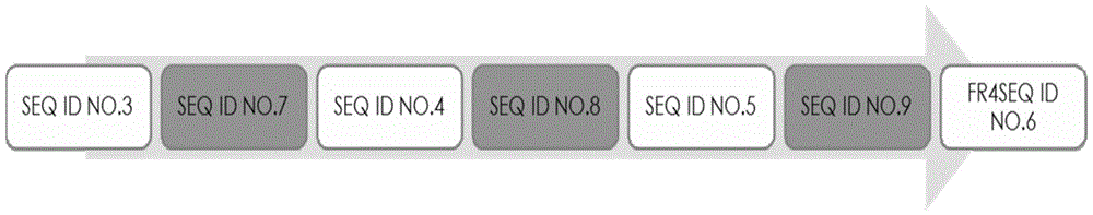 Anti-human β2 microglobulin single domain antibody and its preparation method and use