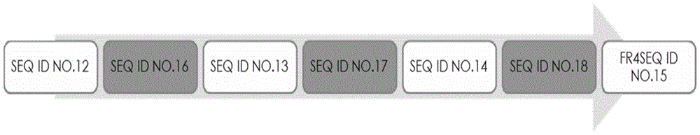 Anti-human β2 microglobulin single domain antibody and its preparation method and use