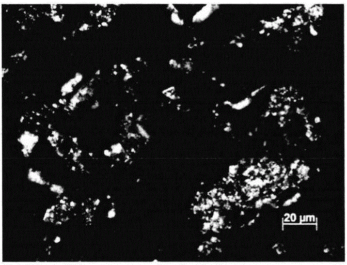 Visual detection method for observing lipid adsorption of montmorillonite based on polarization microscope